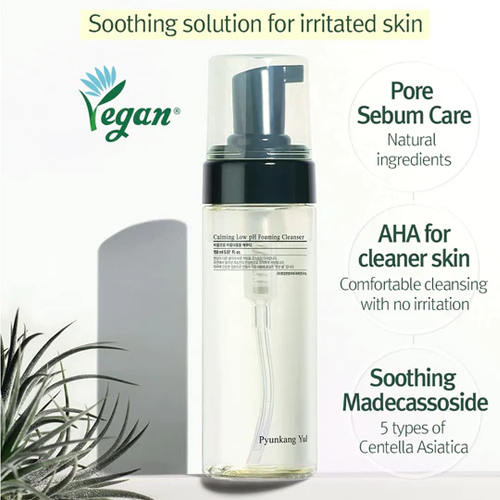 Pyunkang Yul Calming Low  pH Foaming Cleanser 5.07 oz
